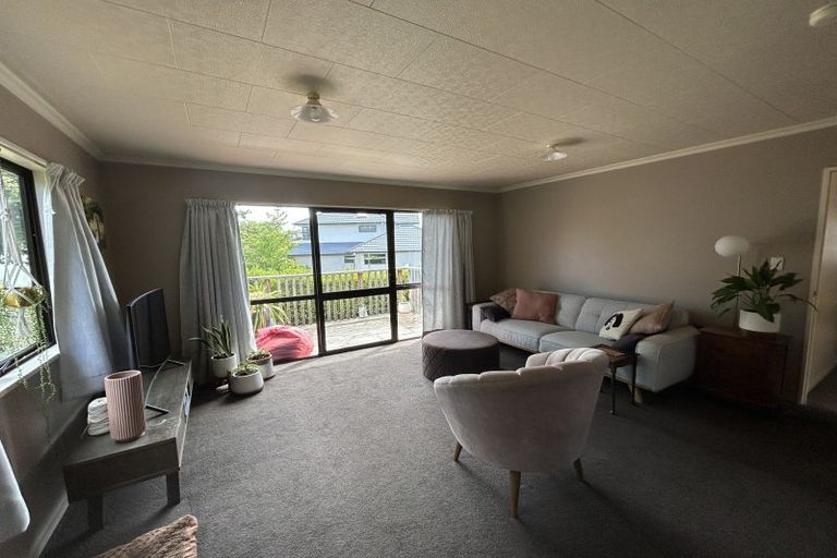 Photo of property in 13 Scaife Place, Wanaka, 9305