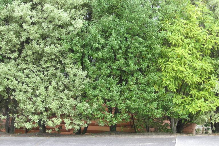 Photo of property in 1/44 Heathcote Road, Castor Bay, Auckland, 0620