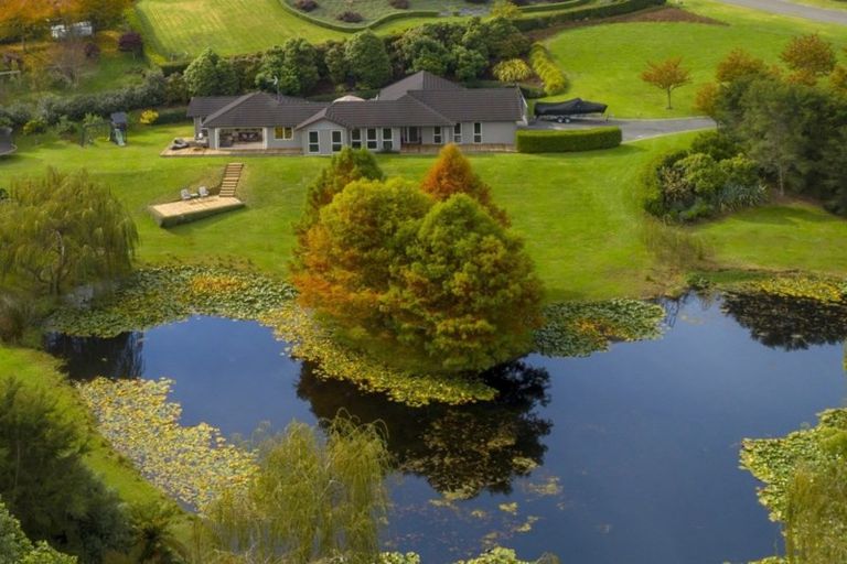 Photo of property in 52 Phillips Drive, Oropi, Tauranga, 3173