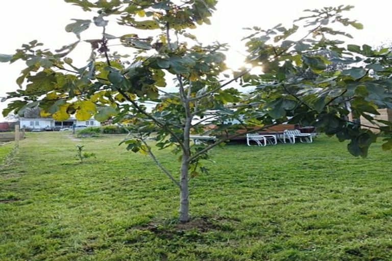 Photo of property in 17 Tanekaha Terrace, Mangakino, 3421