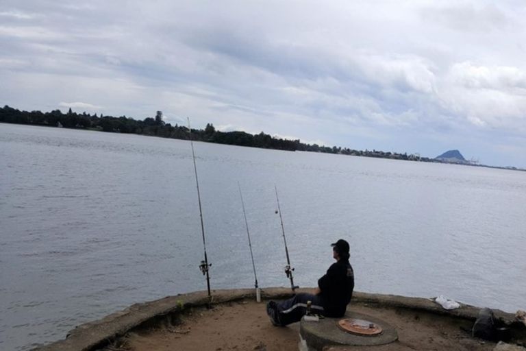 Photo of property in 49 Vine Avenue, Maungatapu, Tauranga, 3112