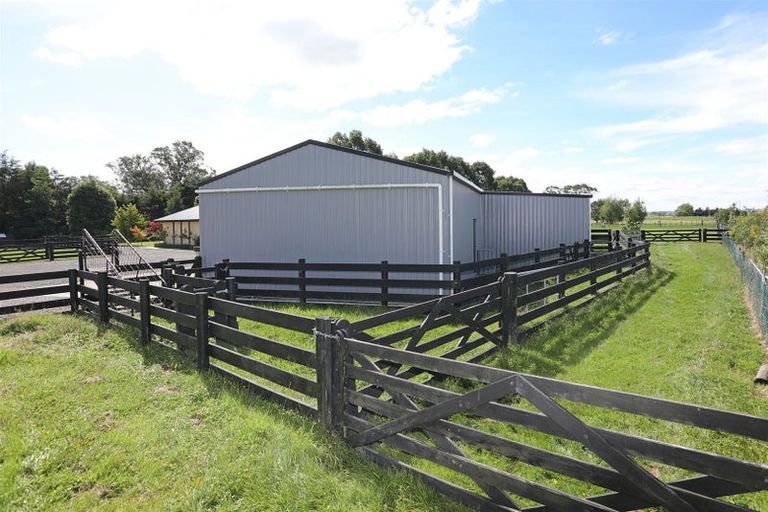 Photo of property in 255 Calico Line, Marton, 4787