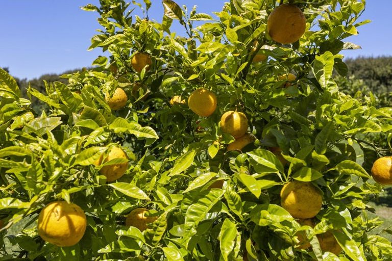 Photo of property in 804 Egmont Road, Hillsborough, New Plymouth, 4372