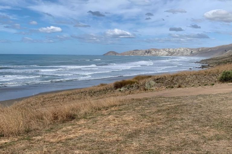 Photo of property in 919 Mangakuri Road, Elsthorpe, 4295