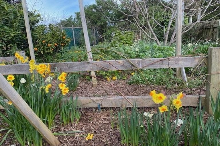 Photo of property in 4 Tarawa Street, Paekakariki, 5034