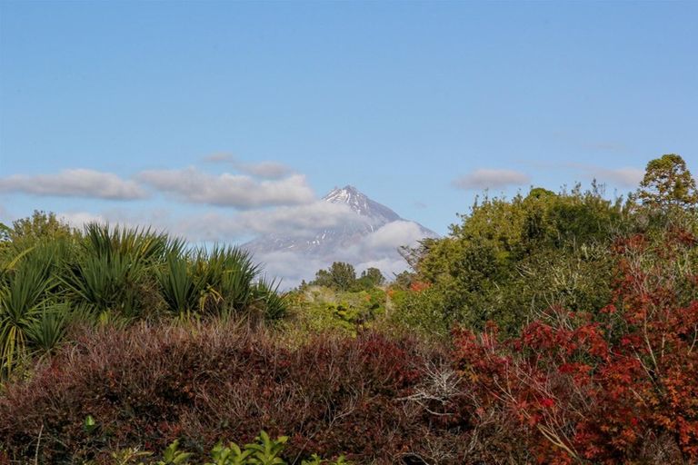 Photo of property in 81c Huatoki Street, Vogeltown, New Plymouth, 4310
