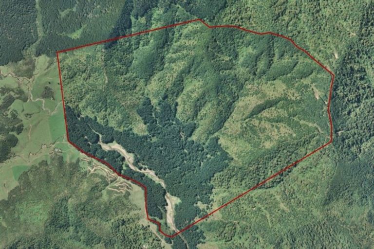 Photo of property in 1677 Takaputahi Road, Toatoa, Opotiki, 3197