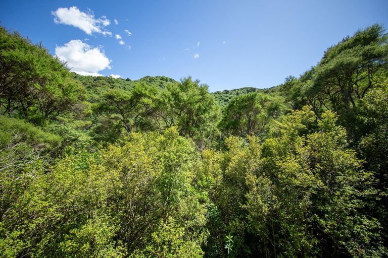 Photo of property in 39 Lookout Road, Peel Forest, Mount Peel, 7992