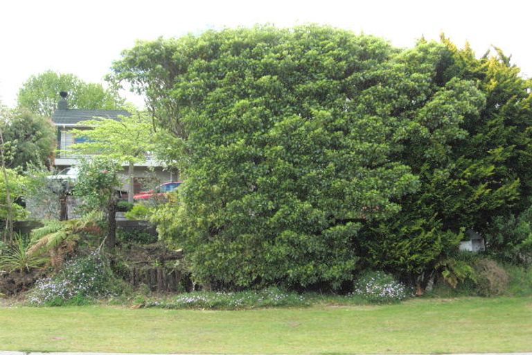 Photo of property in 34 Gillies Avenue, Taupo, 3330