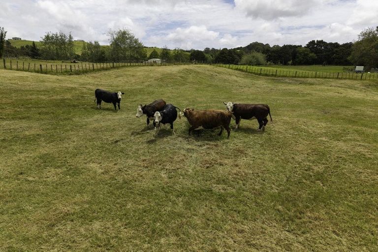 Photo of property in 307 Duncan Road, Kaingaroa, Kaitaia, 0482