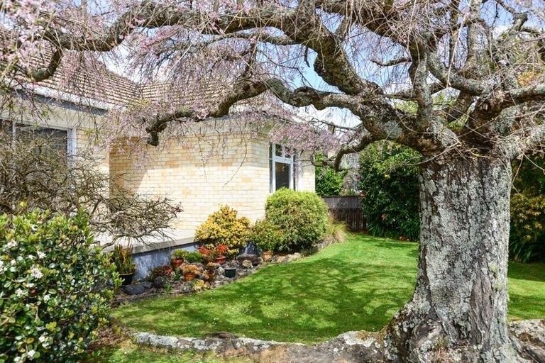 Photo of property in 36 Oxford Street, Fairfield, Hamilton, 3214