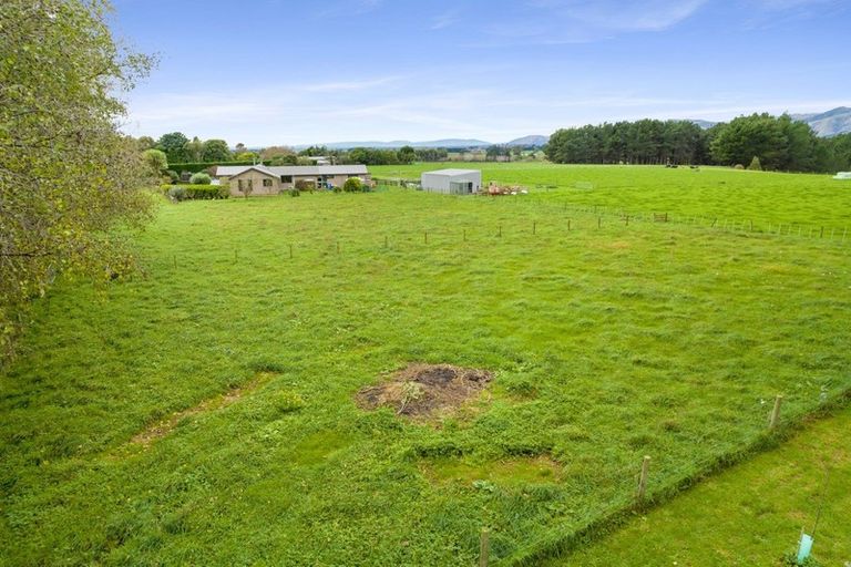 Photo of property in 79 Laward Road, Shannon, Palmerston North, 4474