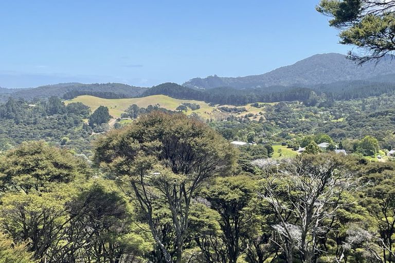 Photo of property in 800 Buffalo Road, Coromandel, 3506