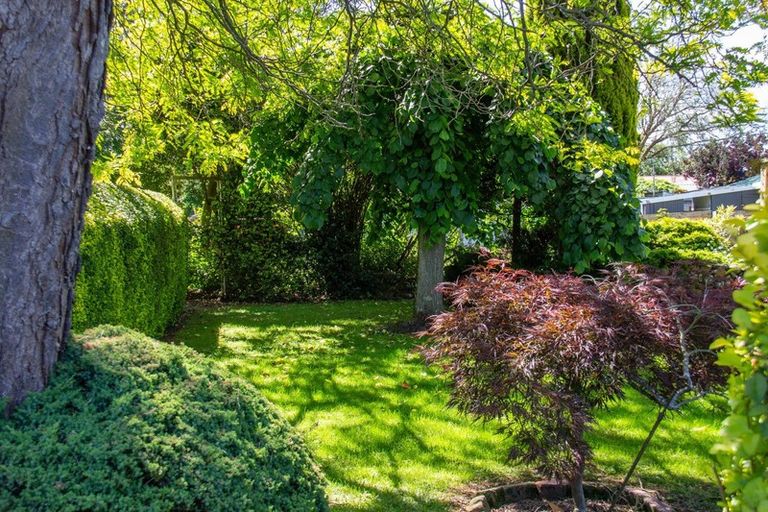 Photo of property in 8 Iorns Street, Masterton, 5810