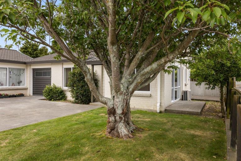 Photo of property in 2/1400 Woodstock Avenue, Mayfair, Hastings, 4122