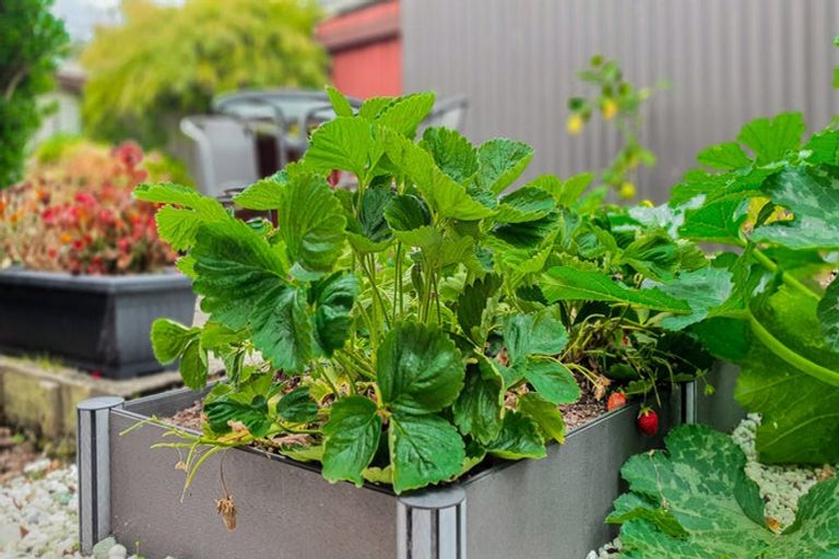 Photo of property in 32b Rutherford Street, Caversham, Dunedin, 9012