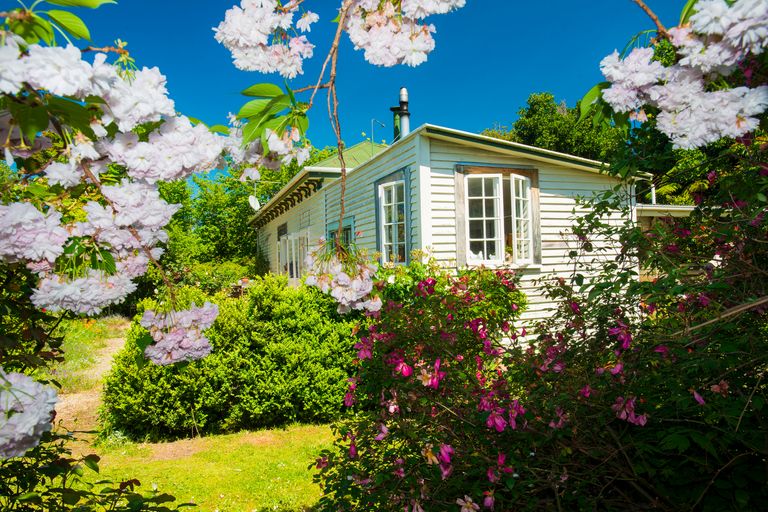 Photo of property in 507 Childers Road, Te Hapara, Gisborne, 4010