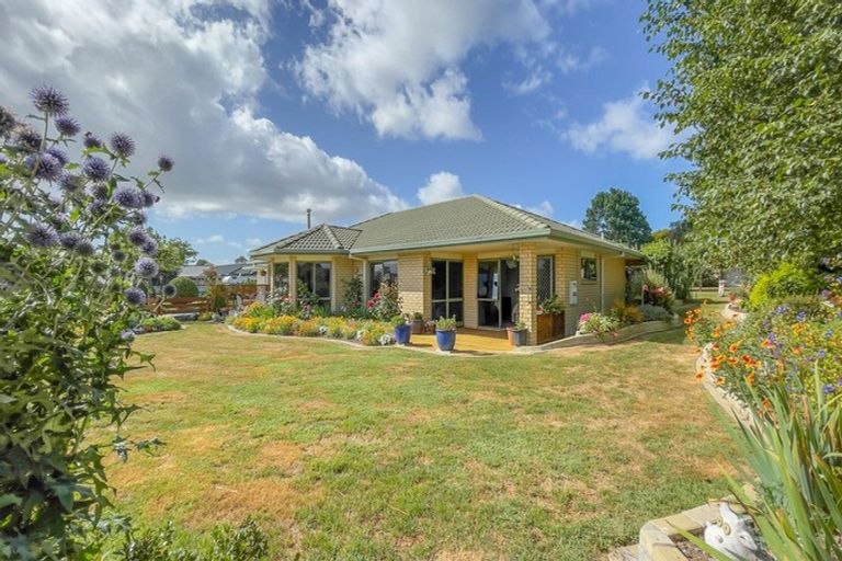 Photo of property in 24 Banks Road, Matamata, 3473