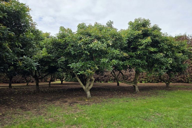 Photo of property in 244 Beach Road, Katikati, 3178