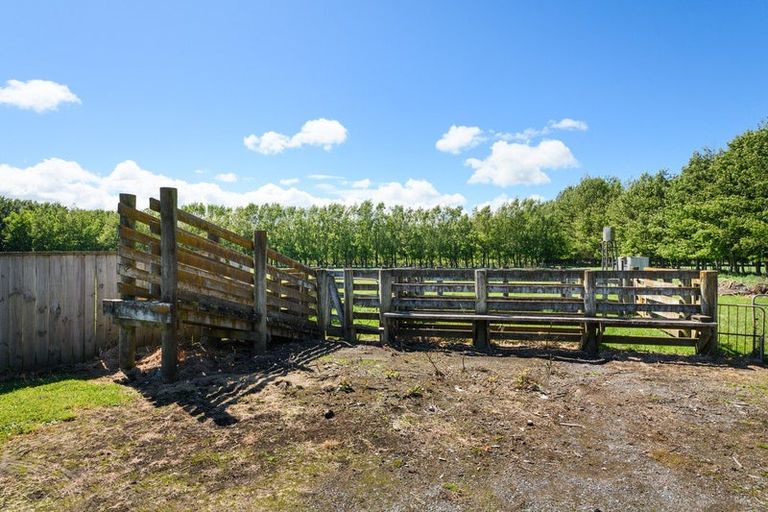 Photo of property in 991 Parewanui Road, Parewanui, Bulls, 4894