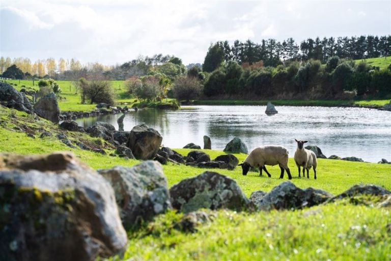 Photo of property in 208 Tatton Road, Maungatapere, Whangarei, 0179