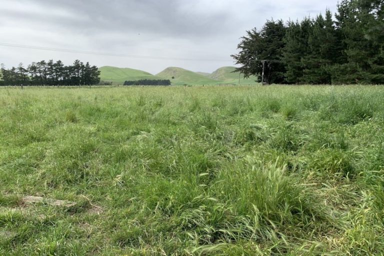 Photo of property in 8 Sydney Terrace, Takapau, 4203