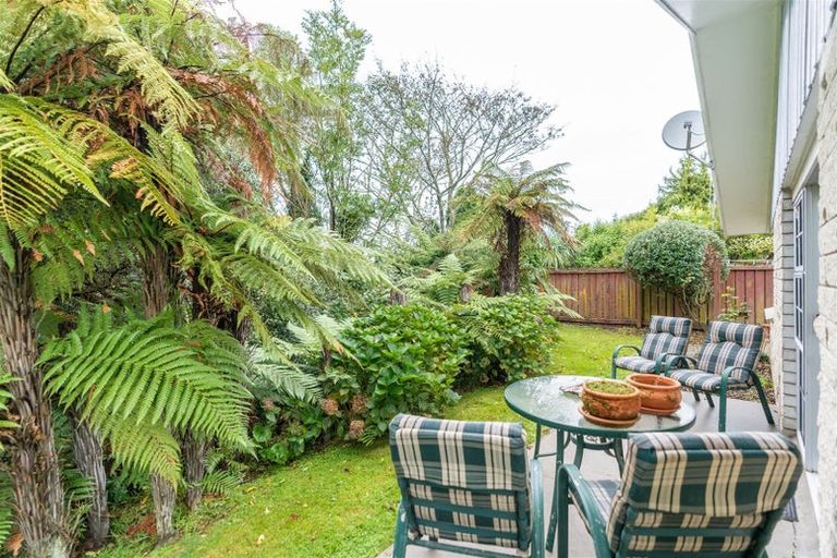 Photo of property in 117b Clarkin Road, Fairfield, Hamilton, 3214