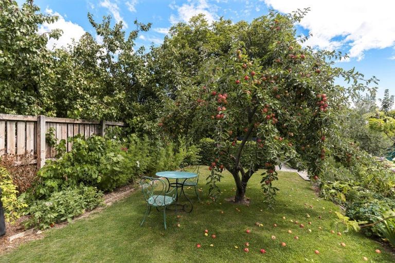 Photo of property in 3 Sligo Street, Cromwell, 9310