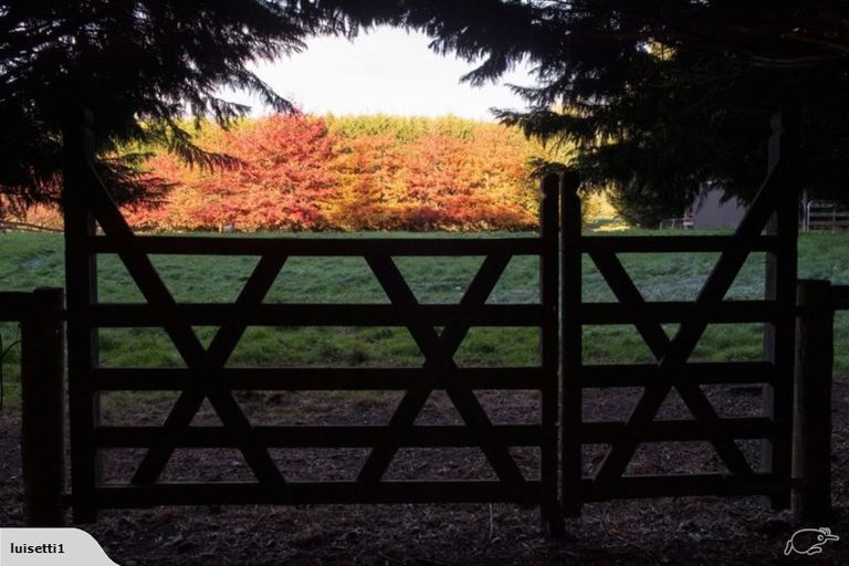 Photo of property in 26 Waiora Lane, Waikuku, 7473