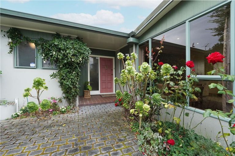 Photo of property in 83 Litchfield Street, Redwoodtown, Blenheim, 7201