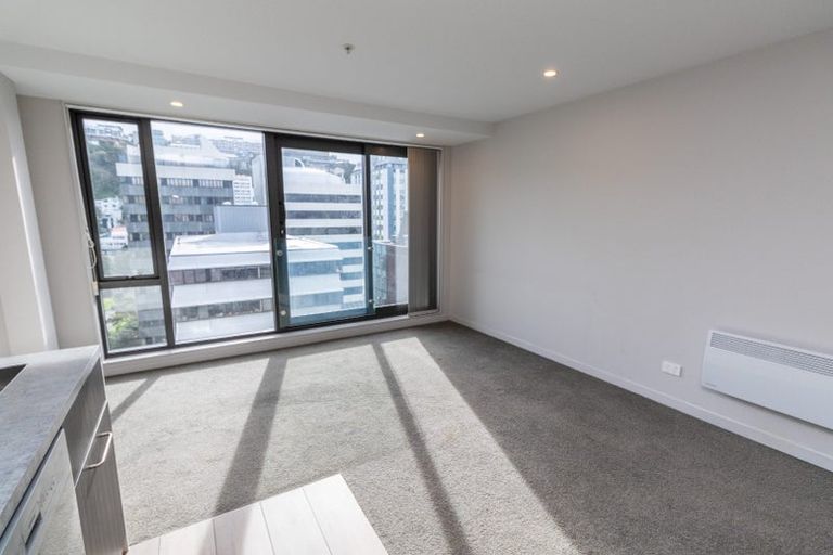 Photo of property in Vsp South, 1104/166 Victoria Street, Te Aro, Wellington, 6011