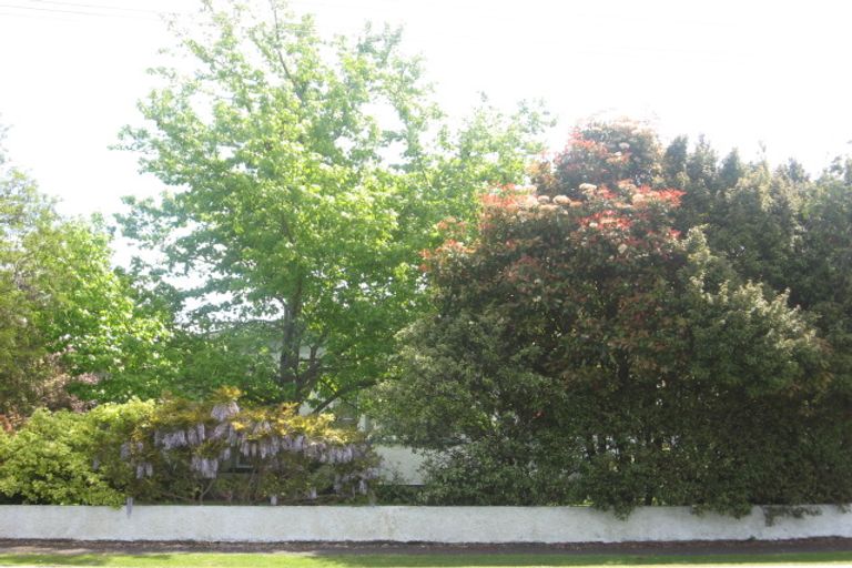 Photo of property in 102 Hall Street, Whataupoko, Gisborne, 4010