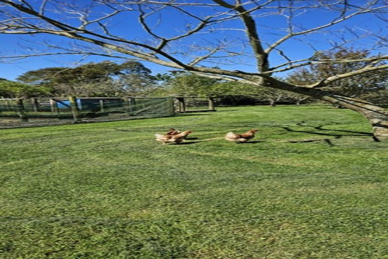 Photo of property in 358 Glue Pot Road, Oropi, Tauranga, 3173