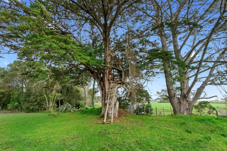 Photo of property in 137 Kingston Road, Shannon, Palmerston North, 4474