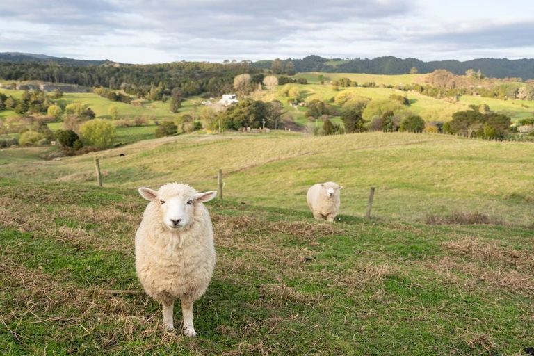 Photo of property in 681 Otaika Valley Road, Maungatapere, Whangarei, 0170