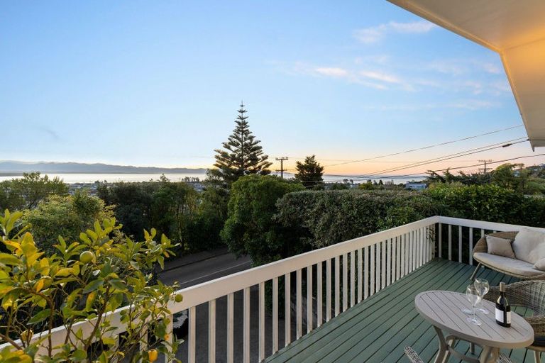 Photo of property in 75 Chamberlain Street, Tahunanui, Nelson, 7011
