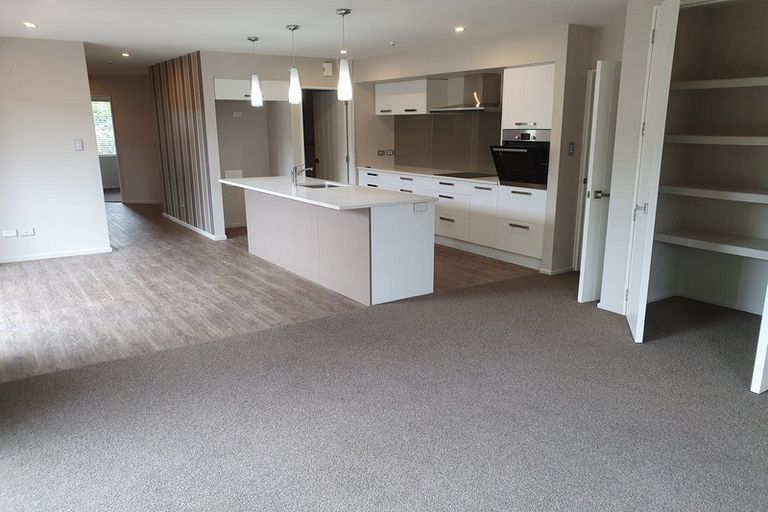 Photo of property in 79 Halberg Street, Dallington, Christchurch, 8061