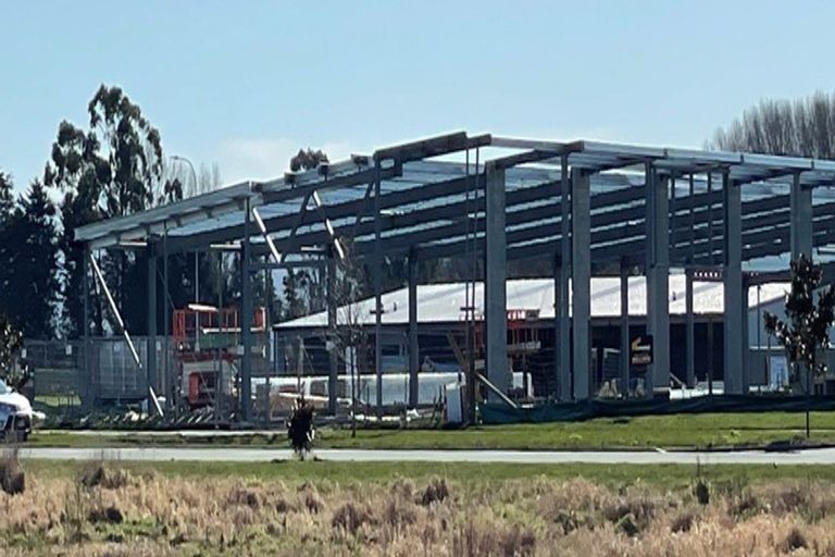 Photo of property in 20 Borland Street, Woodend, 7610