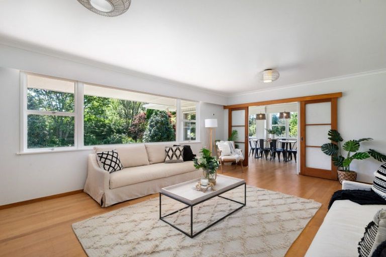 Photo of property in 62 Tuapiro Road, Tahawai, Katikati, 3170