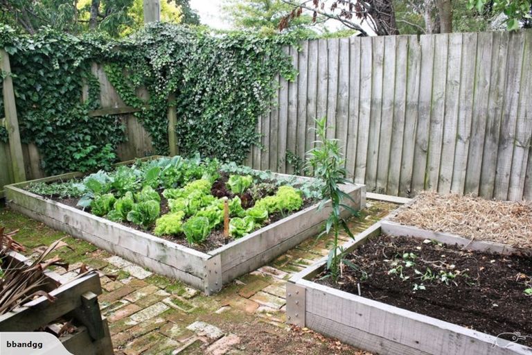 Photo of property in 31 Prossers Road, Saint Martins, Christchurch, 8022