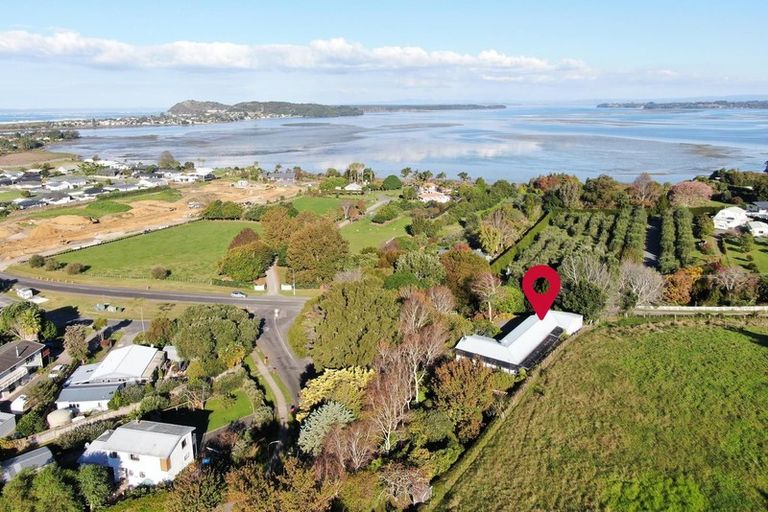 Photo of property in 1-3 Koutunui Road, Athenree, Katikati, 3177