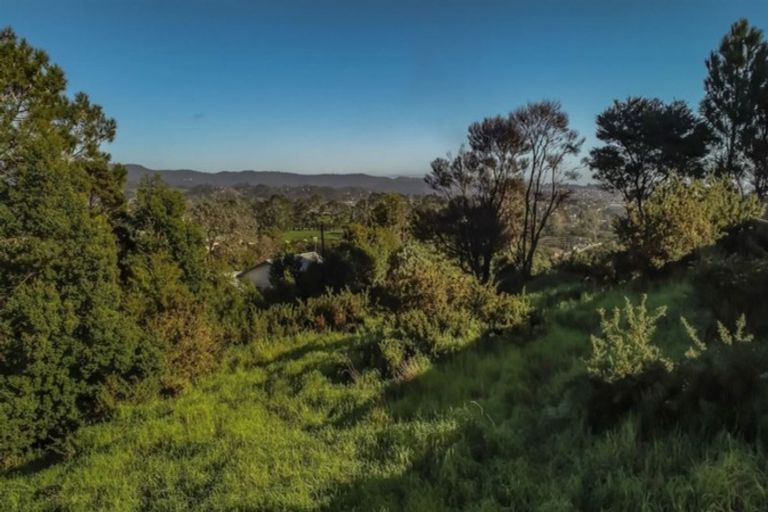 Photo of property in 103 Rangeview Road, Sunnyvale, Auckland, 0612