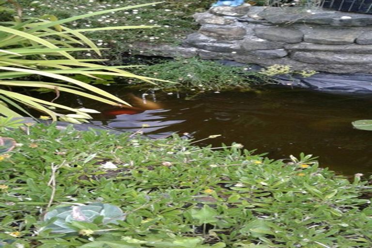 Photo of property in 8 Russell Avenue, Te Aroha, 3320