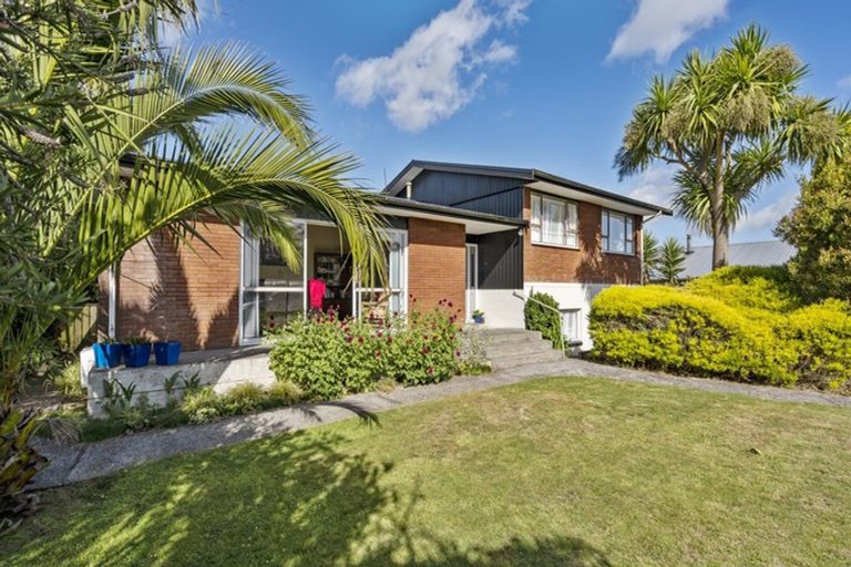 Photo of property in 12 Ariel Street, Stratford, 4332