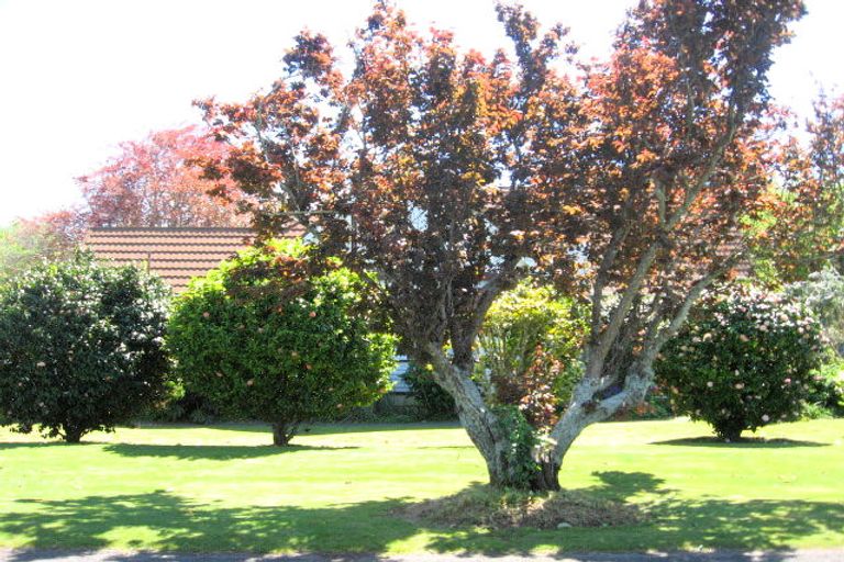 Photo of property in 32 Score Road, Inner Kaiti, Gisborne, 4010