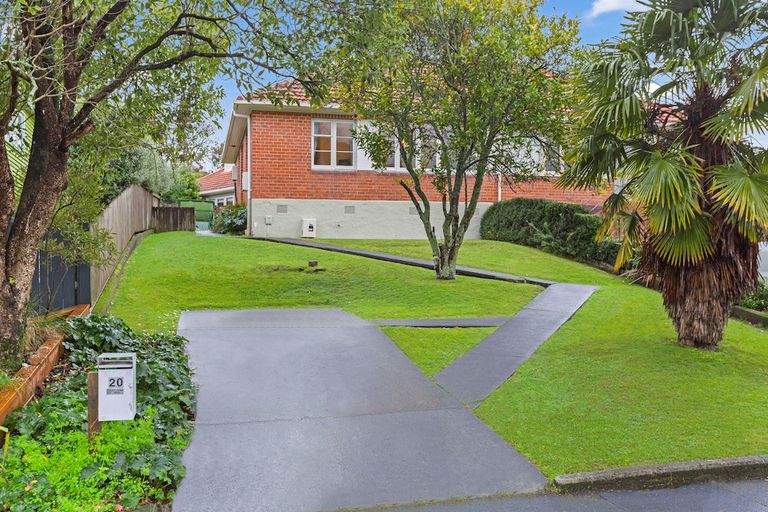 Photo of property in 20 Plunket Terrace, Hamilton East, Hamilton, 3216