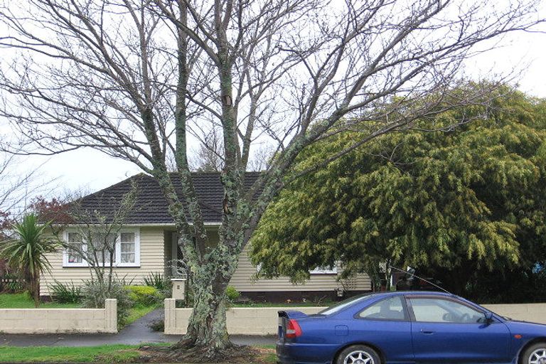 Photo of property in 6 Mabel Street, Levin, 5510