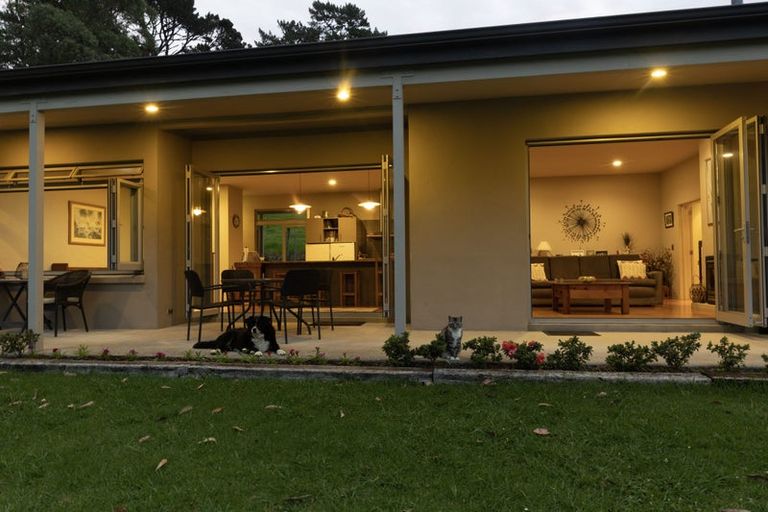 Photo of property in 589 Inland Road, Helensville, 0875