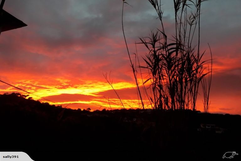 Photo of property in 39 Hudson Street, Island Bay, Wellington, 6023