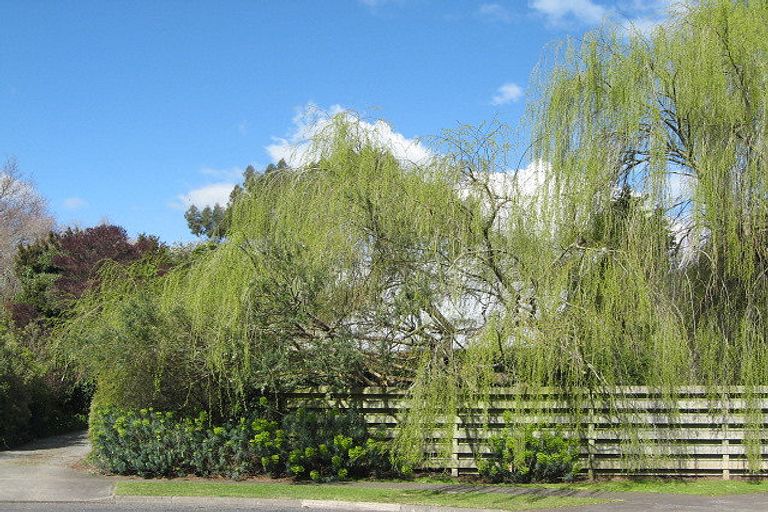 Photo of property in 17 Willow Grove, Waipukurau, 4200